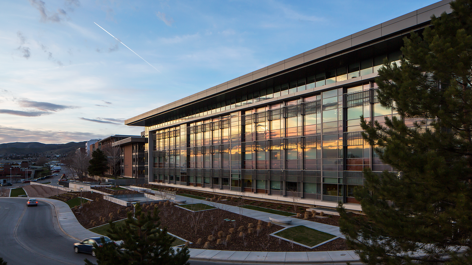 College of Pharmacy