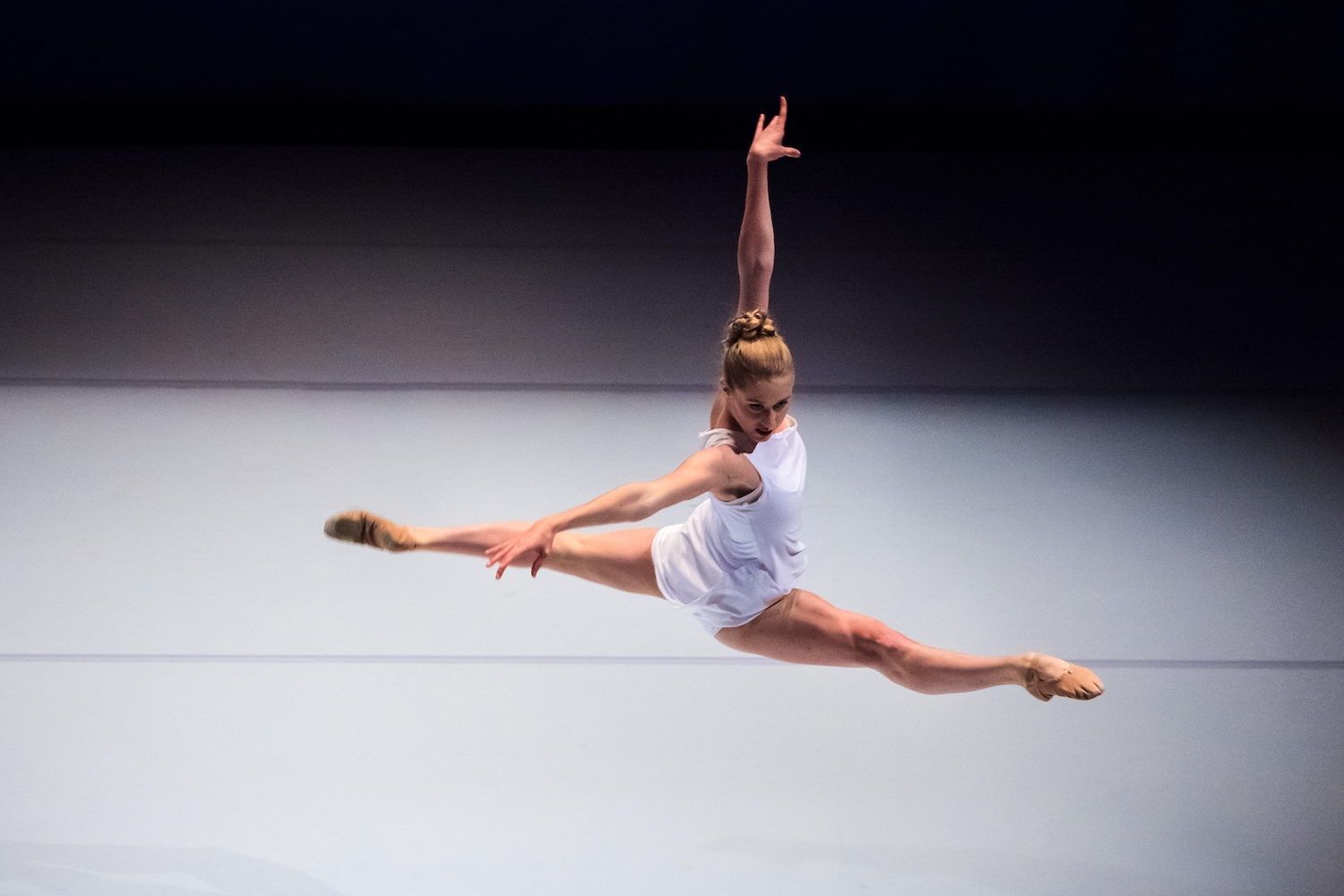 Ballet General Development Fund