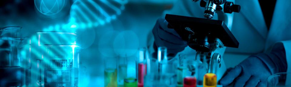 Department of Pharmacotherapy
