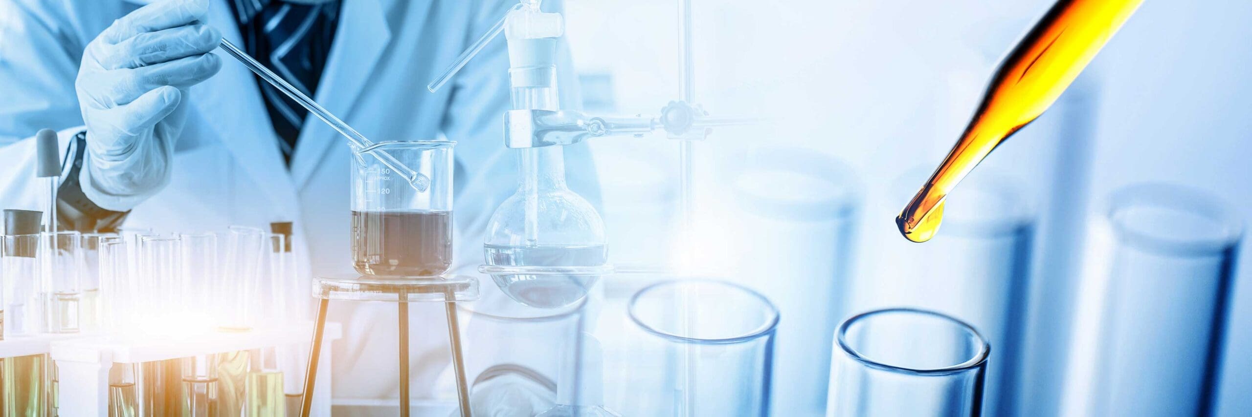 Pharmacology and Toxicology Graduate Student Program Fund