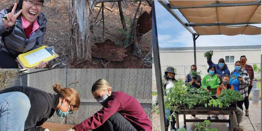 Environmental & Sustainability Scholarships